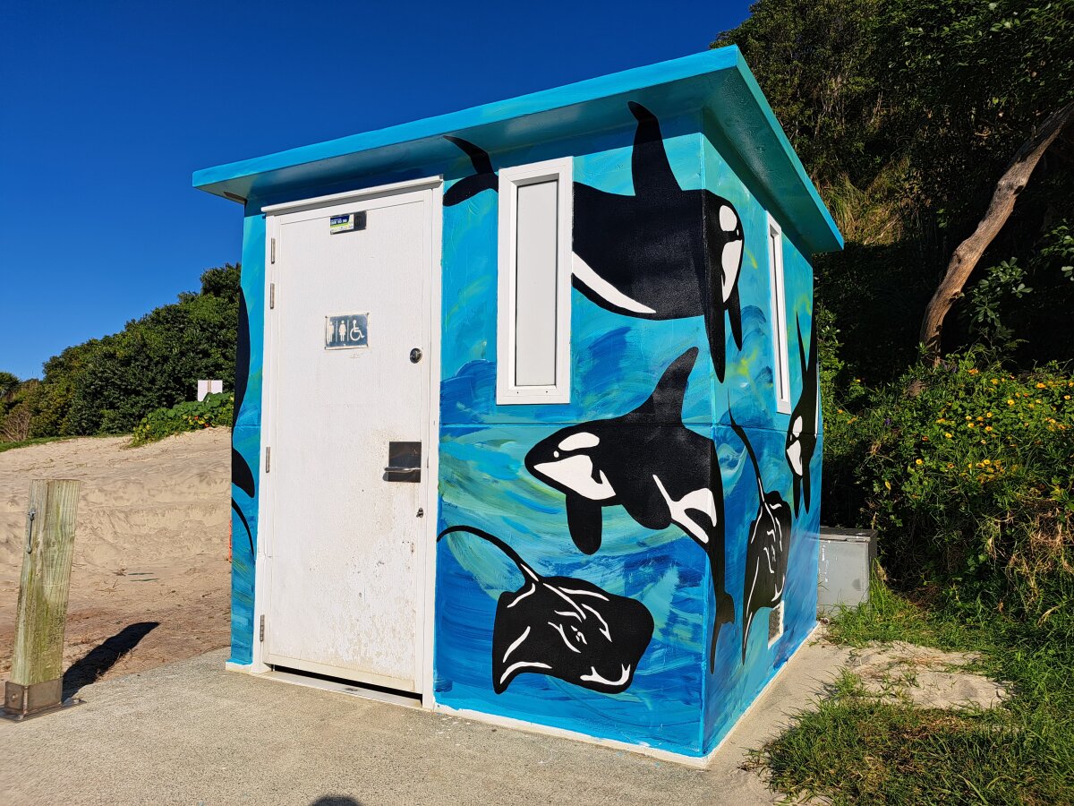 Colouring Kaipara; Public art bringing community spaces to life